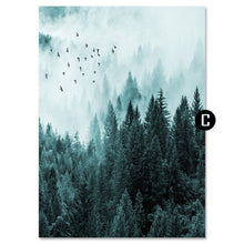 Load image into Gallery viewer, Forest Landscape2