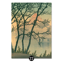 Load image into Gallery viewer, Chınese17