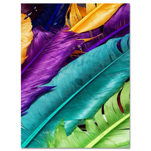 1Colored Feathers