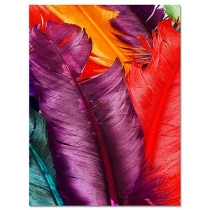1Colored Feathers
