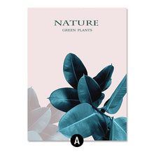 Load image into Gallery viewer, 1Succulent Plants