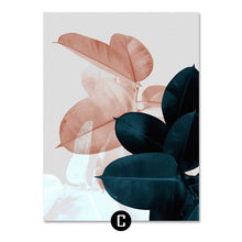 Load image into Gallery viewer, 1Succulent Plants