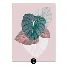 Load image into Gallery viewer, 1Succulent Plants