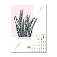 Load image into Gallery viewer, 1Nordic Green Plant