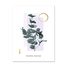 Load image into Gallery viewer, 1Nordic Green Plant